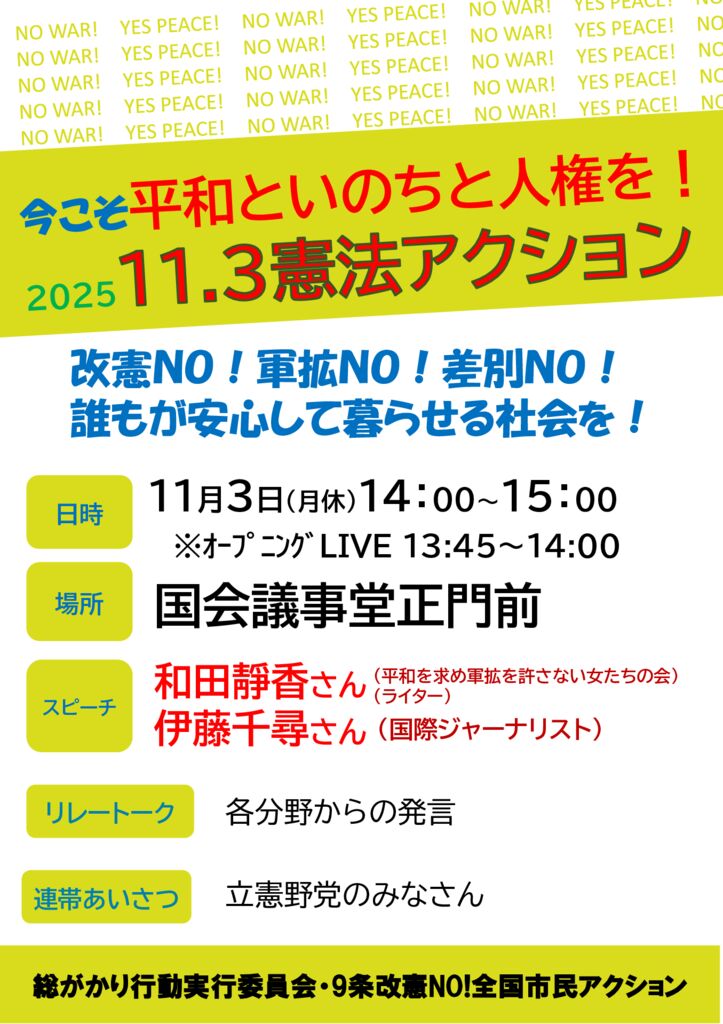 11.3憲法アクション　チラシのサムネイル